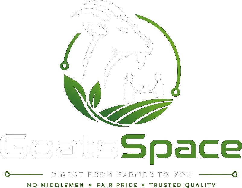 Goat Direct Goats Space — Buy Goats Direct From Farmers in India